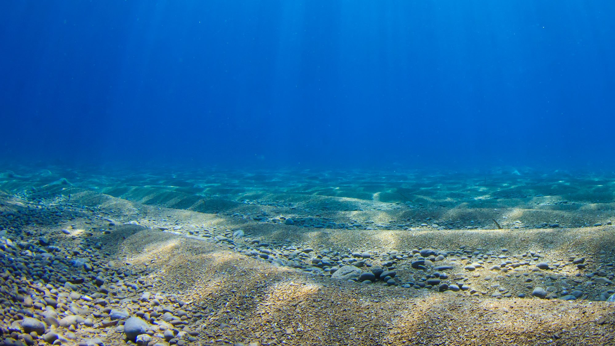 Underwater ocean scene with blue water, sandy seabed and sunbeams shining through water